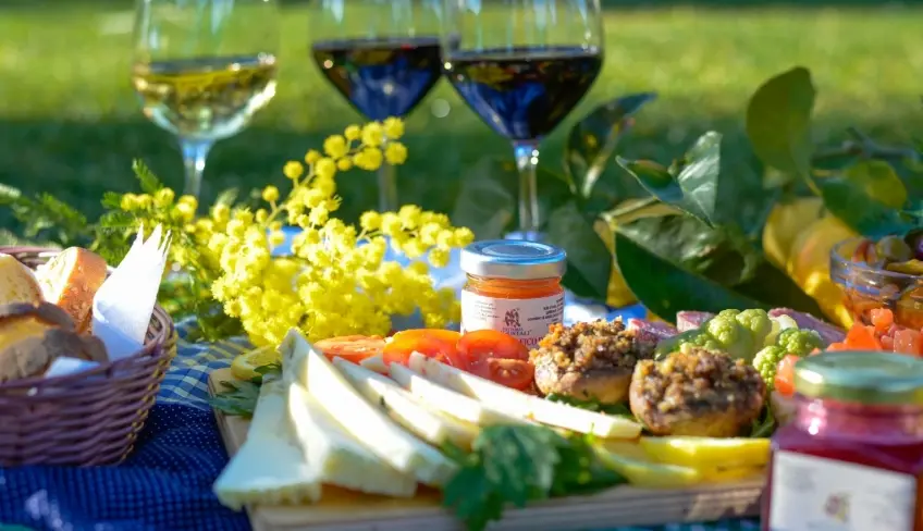 pic-nic sul prato in fattoria