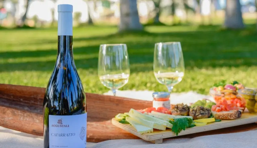 pic-nic fattoria degustazione vino