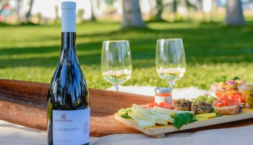 degustazione e raccolta olive